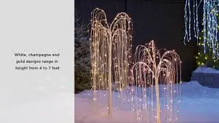 CANVAS Winter Forest Outdoor Tree Collection