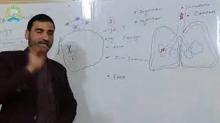 Allergy || Diseases|| Lecture by Dr Niamtullah Darman || Spinghar Institure of Higher Education