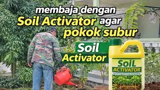 MEMBAJA DENGAN SOIL ACTIVATOR AGAR POKOK SUBUR#garden #soil 