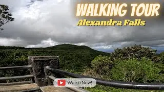 Alexandra Falls, walking tour | Black River Gorges National Park, Mauritius