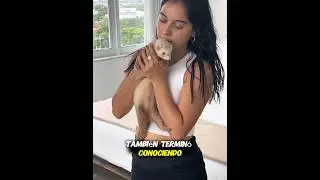 Dos hurones lo cambiaron todo❤️#anmals #cute #love #pets #shorts