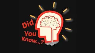 Did You Know Facts about Bail Bonds | The Bail Pros