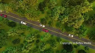 Forest Road | Cinematic Drone Footage