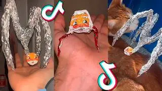 Goo Goo Gaga 😱 TikTok Compilation #3