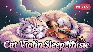 2 Hours Cat Violin Sleep Music  🎻🐱 | Gentle Violin for Calming Cats & Humans 🌙