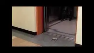 Acrobatics of STAR.V3 , UC Berkeley, a high speed 3D printed robot.