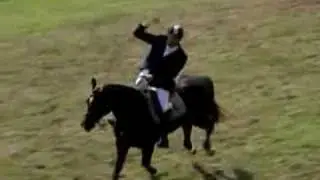 Equines- We Are the Champions!