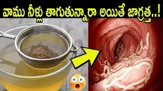 వాము నీళ్లు తాగే ప్రతి ఒక్కరు ఈ వీడియో తప్పకుండా చూడండి || Ajwain water benifits || Telugu Health