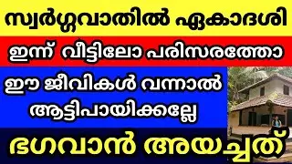 ഇന്ന് സ്വർഗ്ഗവാതിൽ ഏകാദശി, ഇന്ന് വീട്ടിലോ പരിസരത്തോ ഈ ജീവികളെ കണ്ടാൽ, ഭഗവാൻ അയച്ചത്,ആ വീട് രക്ഷപെടും