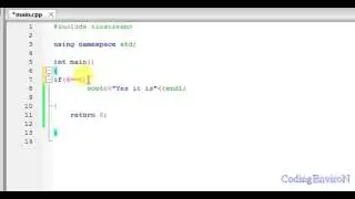 Codingenviron C++ If statementSelection construct