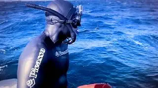 Picasso Spearfishing / Pesca Submarina - Presentation / Presentación
