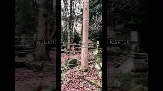 Первый и главный сатанинский грех. Подпишись! #сатанизм #магия #лавей