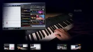 NI Kontakt Sound libraries, WAV and NKI, trumpet, saxophone, flugelhorn, flute, brass and orchestral