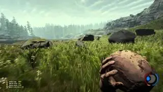 The Adventures of Rock Squad: A Wild Turtle Has Appeared!