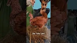 Она утверждала, что её куры несут священные послания 😳