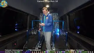 Mobile dog gym - Live stream