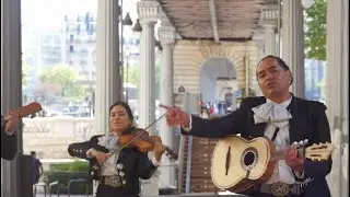 Más que tu amigo - Mariachi Los Gallos de París