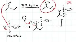 Alkyl Sulfonates