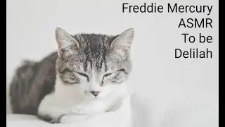 ASMR Freddie Mercury 프레디 머큐리 / 딜라일라 되기