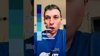 nuances de bleus