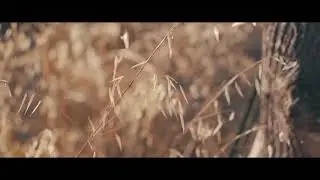 EDM with indian instruments.