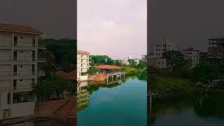 #brac