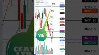 Ceat ltd stocks ready for breaking all target#trending #sanjivbhasinlivezeebusiness #stockmarket