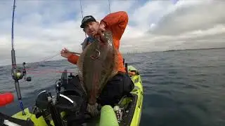 Halibut Caught fishing out of Channel Islands Harbor on the Kayak