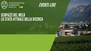 Scopazzi del Melo | Lo stato attuale della ricerca