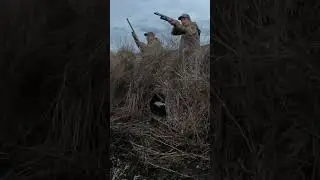 The Best Panel Blind for Duck Hunting - 2024