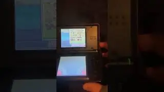 У меня есть игра Pok&eacute;mon Platinum со старым файлом сохранения. Что в нём может быть?