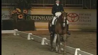 Royal Winter Fair 2009 - Dressage Highlights