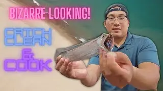 Eating this BIZARRE looking Fish aka Ribbon Fish - Catch, Clean & Cook