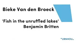 Bieke Van den Broeck - Fish in the unruffled lakes