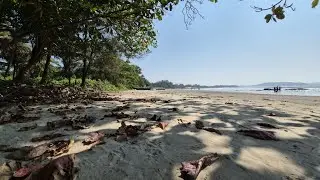 OneViking1 is live | FISHING POINT IN MORJIM BEACH❤️&zwj;🔥