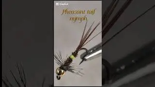 Hottest pheasant tail nymph#flyfishing#flytying#nymph#tutorial