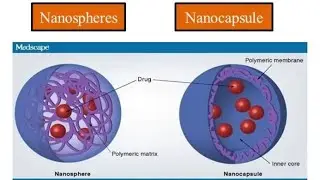Nanocapsule:The novel drug delivery system