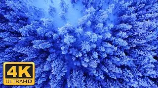 MOST BEAUTIFUL NATURE - 4K DRONE FOOTAGE - Bird's Eye View