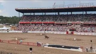 Cheyenne Frontier Days in Wyoming 2024. #Rodeo #cheyenneFrontierDays #CFD #Cheyenne #Wyoming #Cowboy