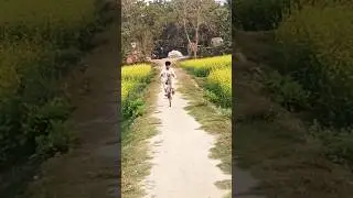cycle stunt #viral #punk #shorts