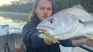 Jacks, GTs and Jews on noosa river