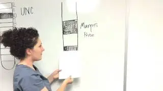 Как читать зонд Marquis