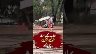 Flood in Pakistan | Situation out of Control | #Flood #raviriver  #Shorts