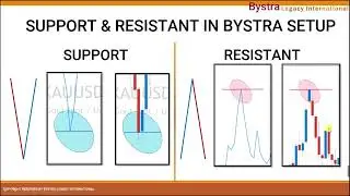 Video 5 - The Bystra SNR Bystra Legacy.mp4
