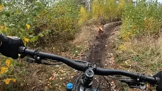 Hermannsdenkmal MTB Trails