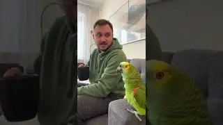 Рико знает слишком много&hellip; | Rico Knows WAY Too Much ...🦜😳🔥