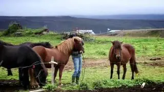 Guesthouse Gar&eth;ur in A&eth;aldalur Iceland - Icelandic Farm Holidays
