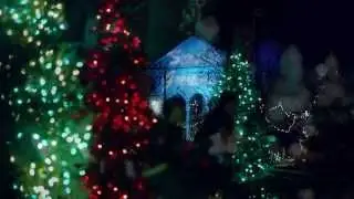 TV Spot - Holiday Magic at Brookfield Zoo