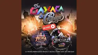 Dos Hojas Sin Rumbo (feat. La Picosa Hernandez Banda)