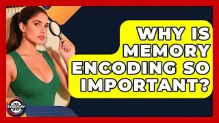 Why Is Memory Encoding So Important? - The Everyday Why